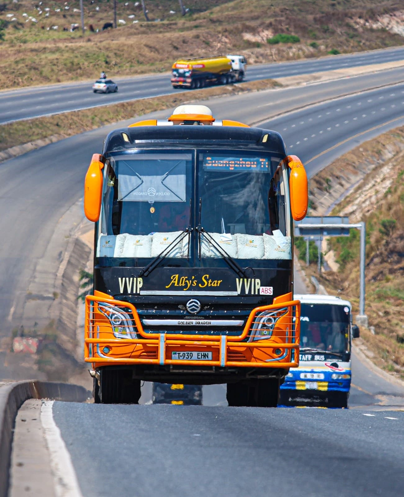 Ally's Star Bus External View 7